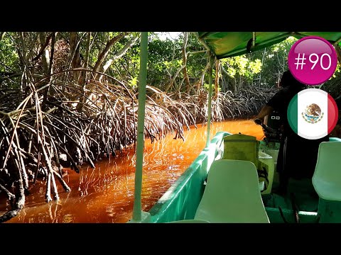 ON EXPLORE LA MANGROVE MEXICAINE ! (VLOG #90)