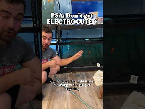 Aquariums can ELECTROCUTE YOU! 