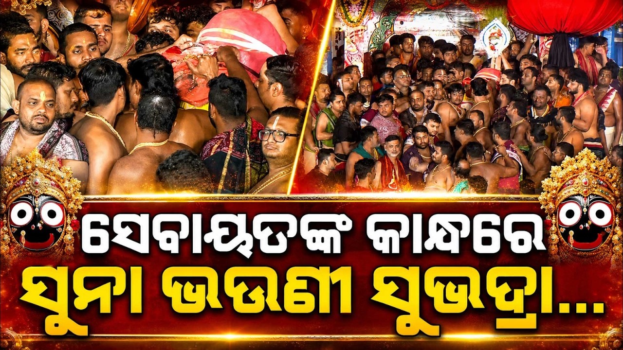 ସେବାୟତଙ୍କ କାନ୍ଧରେ ସୁନା ଭଉଣୀ | Adapa Mandap Bije | Rath Yatra 2026 | Goddess Subhadra | Argus News