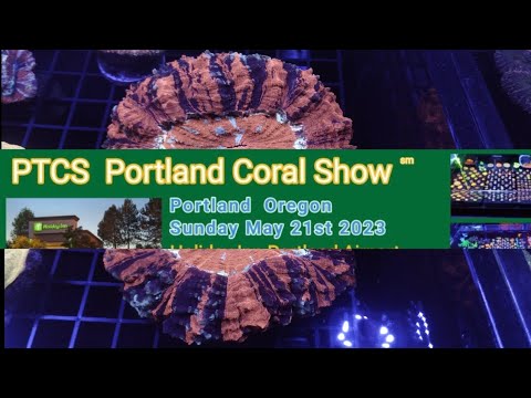 EYE CANDY from PORTLAND coral show #pnwmas #corals I wish I had more time to film and get footage of everything, time was limited and I didn't want to 