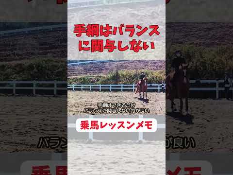 「乗馬」セルフキャリッジ #horse #馬 #乗馬