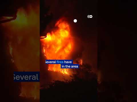 Firefighters in Turkey battle to contain wildfires | DW News