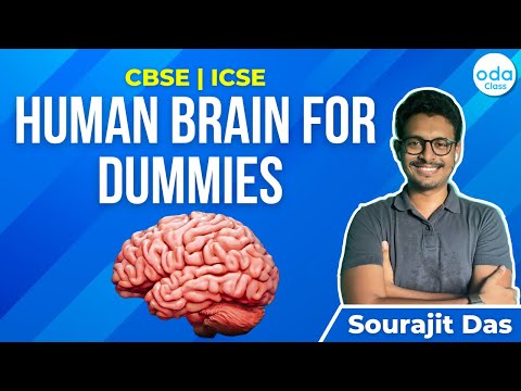 Human Brain for Dummies | CBSE | ICSE | Sourajit Sir