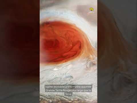 Faits Insolites n° 29 #faitsinsolites#leSavaisTu #incroyableMaisVrai#funfact#shorts