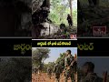 జార్ఖండ్‎ లో భారీ ఎన్ కౌంటర్ | Encounter in Jharkhand | hmtv  - 00:30 min - News - Video