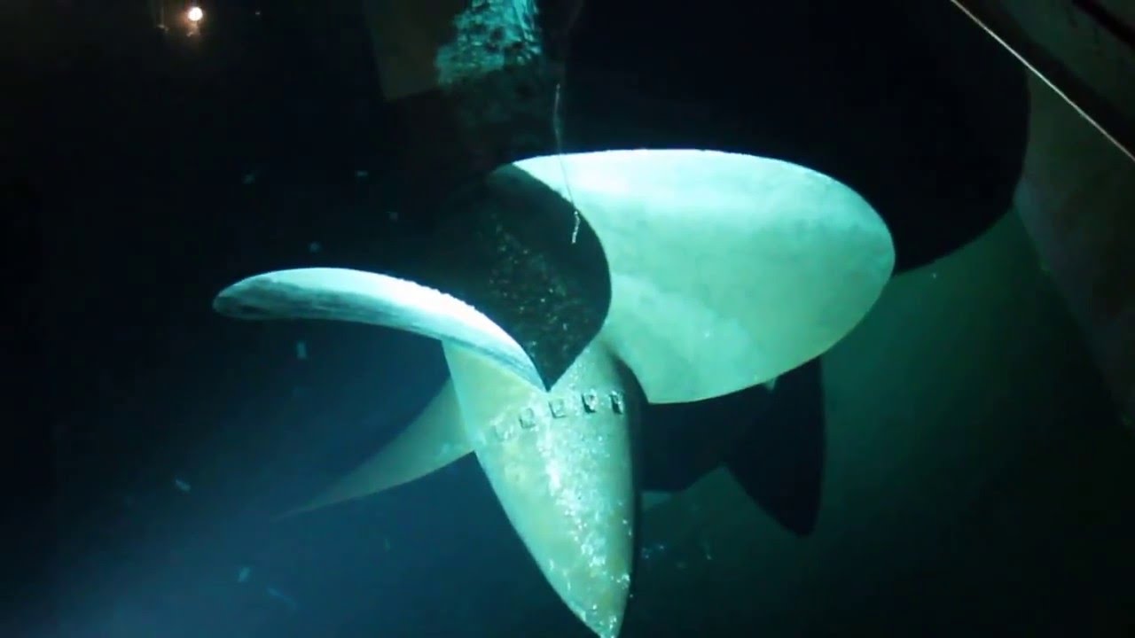 queen-mary-s-propeller-room-youtube