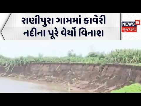 Flooding of the Cauvery river wreaked havoc| રાણીપુરા ગામમાં કાવેરી નદીના પૂરે વેર્યો વિનાશ |Gujarat