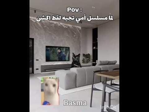 اذا جات لقط اكشن 👀#اشتركو حتي نوصل9k تسعة الاف مشترك #لايك_اشتراك #مهتم بي هذا المحتوى فولو مي🎀#cat