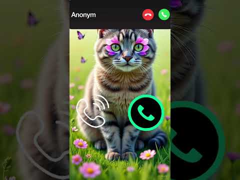 Cute Cat Calling 😮#ringtone #cat #gato #babygirl #youtubeshorts #catlovers #viralvideo #mi #shorts