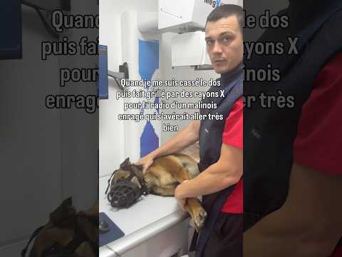 Le plus émouvant du métier #vetlife