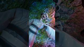 めつぶしのセルフ効果