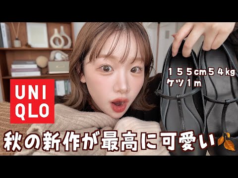 今年の秋UNIQLO、可愛すぎて爆買い！全６コーデ🍂🛒