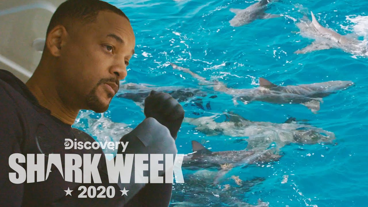 Will Smith Prepares to Dive with Sharks! | Shark Week