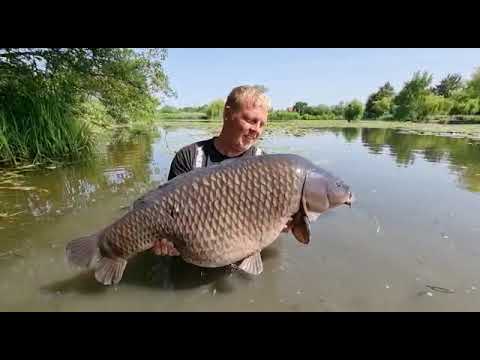 Another lake record common on Essential Baits