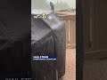 Hail storm in Mount Airy #shorts  - 00:33 min - News - Video