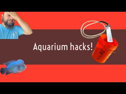 Aquarium hacks with Ferlo! Ep. 1 I’m all about making my life easier so I figured I would try and do the same for you!!