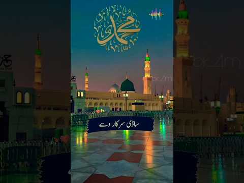 chlye Madiny jithy sadi sarkar wsy | naat ❤️Punjabi | 12 rabi ul awal #naat #shorts