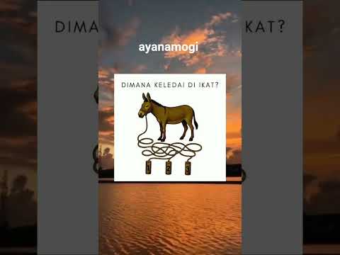 ayo tebak #memes #funny #shorts #fypシ゚viral