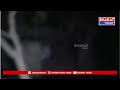 తిరుమల నుండి తిరుపతి వెళ్ళే మొదటి ఘాట్ రోడ్డులో ఏనుగుల గుంపు కలకలం  - 00:40 min - News - Video
