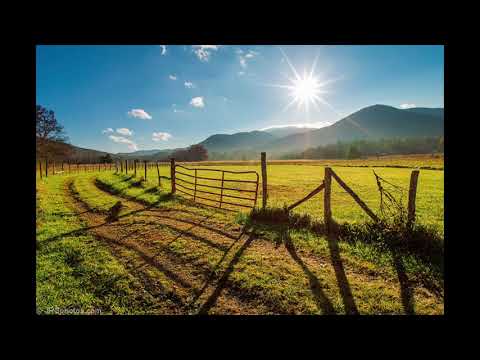 tracy - like a farmer (prod. gren8)