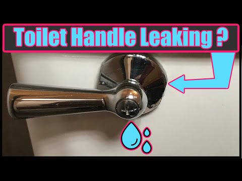 Toilet Handle Leaking