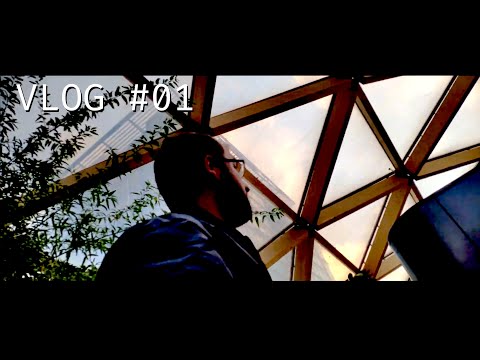 The Vlog - Episode 01