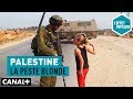 Palestine : La peste blonde - LEffet Papillon  CANAL+