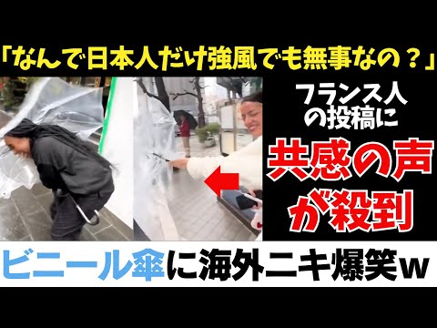 「なんで日本人だけ強風でも無事なの？」に対する海外の反応
