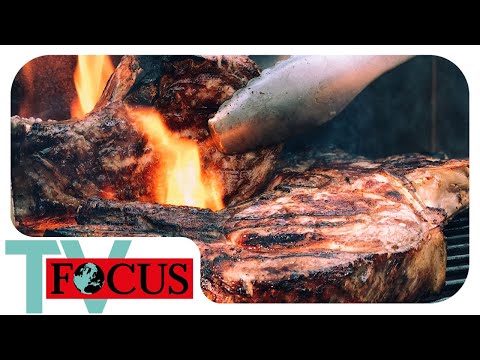 Der Grill-Olymp! BBQ-Profis und Hobby-Köche im Grillfieber! | Focus TV Reportage