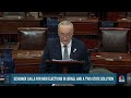 Full speech: Sen. Schumer calls for new elections in Israel  - 43:54 min - News - Video