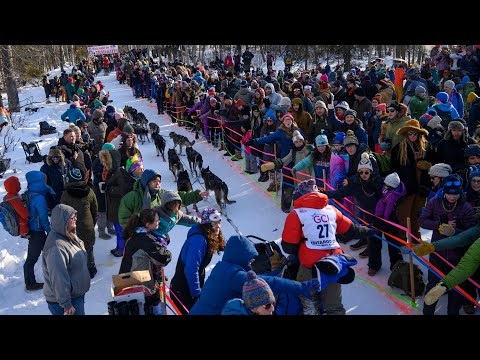 Iditarod 2023 ceremonial start: Racers ramp up and fans party