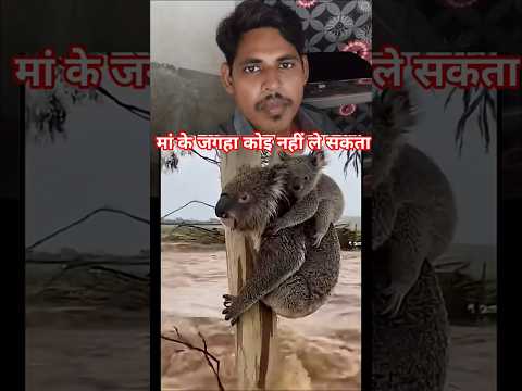 मां के जगहा कोइ नहीं ले सकता है। #माँ  #मां के जगहा कोइ नहीं ले सकता है #shorts