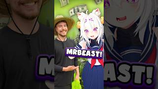 How Filian Wins MrBeast's Games