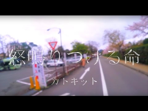 カトキット「怒鳴りつける命」MV
