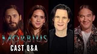 Cast Q&A