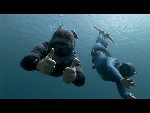 Jonathan Bird's Blue World: Freediving with Karol Meyer - YouTube