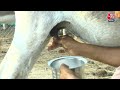Gujarat के शख्स ने क्यों पाल लिए दर्जनों गधे? | Donkey Milk | Cattle | Banaskantha  - 02:01 min - News - Video