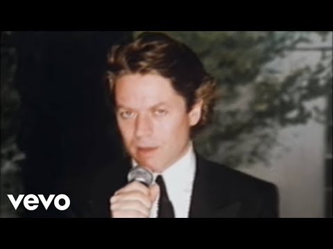 Robert Palmer - I Didn't Mean To Turn You On