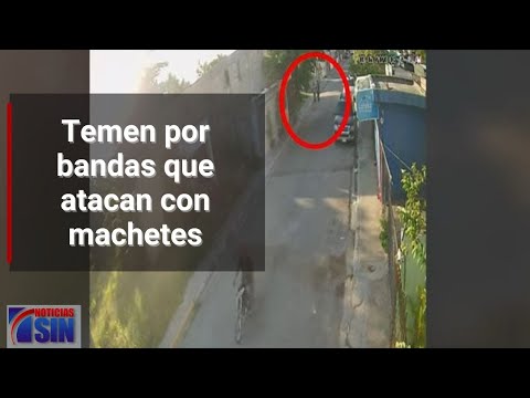 Manoguayabo: Temor por bandas que atacan con machetes