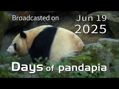20250619 Broadcast Top Highlights 06