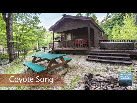 Property video