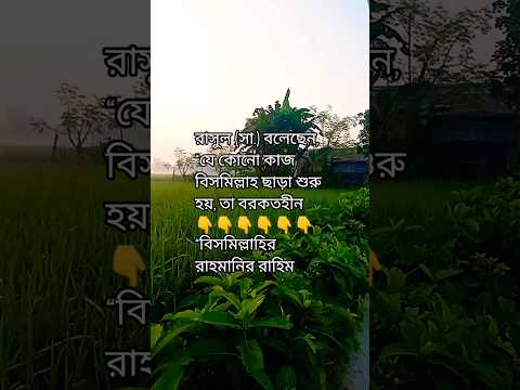 আপনি কি জানেন, “বিসমিল্লাহ” বলে কাজ শুরু করলে শয়তান পালিয়ে যায়?#বিসমিল্লাহ #নেকি #ইবাদত #shortvideo