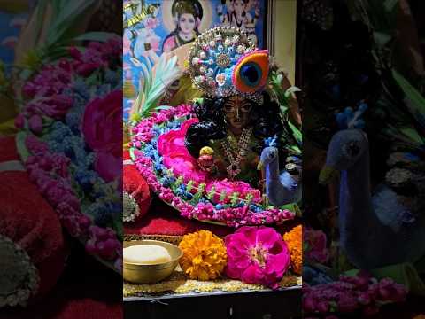 radhe radhe #shorts #ytshorts #shortsfeed #premanandjimaharaj #radhakrishna