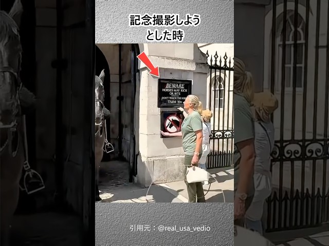 割り込みされてもルールを守る日本人女性達#shorts #imperialguard #respect #rules #近衞兵 #ルール