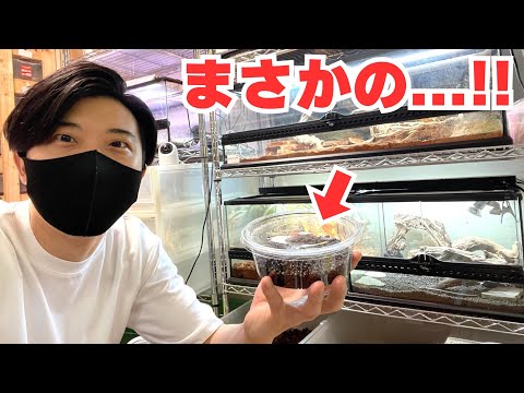 産んどるやんけ...！！
