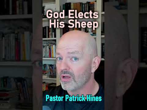 God Elects His Sheep - Pastor Patrick Hines Podcast #shorts #christianshorts #calvinism #grace #God