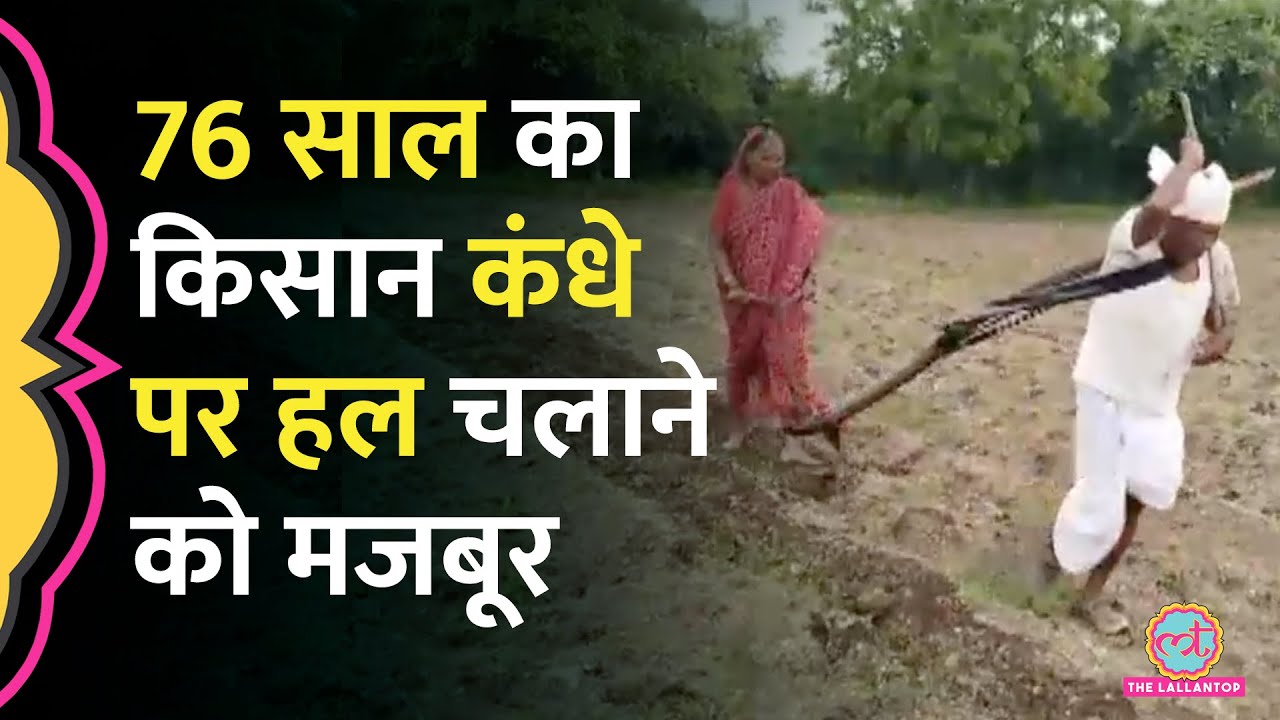 Maharashtra में बैल की जगह खेत जोतते बुज़ुर्ग किसान का ये वीडियो परेशान कर देगा