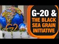 Black Sea Grain Initiative & the G-20 Summit 2023 | Will Delhi be the Venue of Revival? | News9