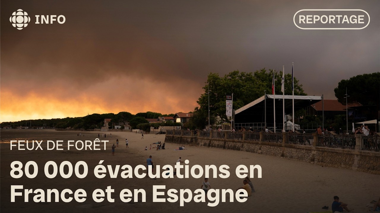 Feux de forêt : la France et l’Espagne sollicitent l’aide de l’Union européenne