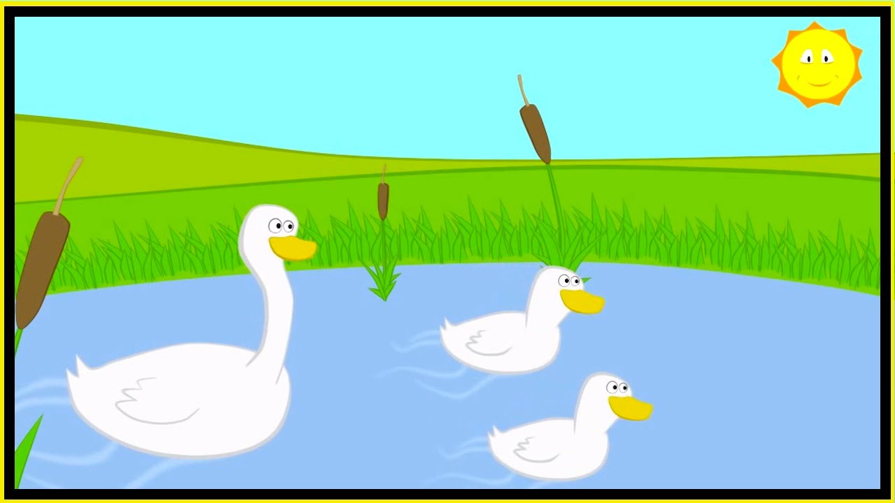 3 little duck forex